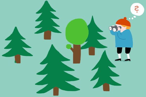 Hva betyr ordspråkene? / Ord og uttrykk / Norsk / Kanal S 5–7 / Salaby ...