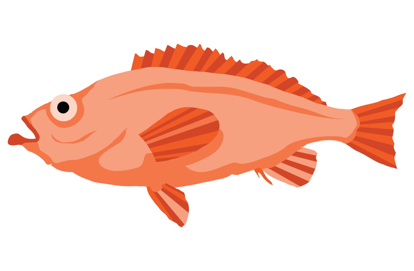 Fisk fra Azur / Tekstoppgaver / 3. trinn / Matematikk / Byparken 34